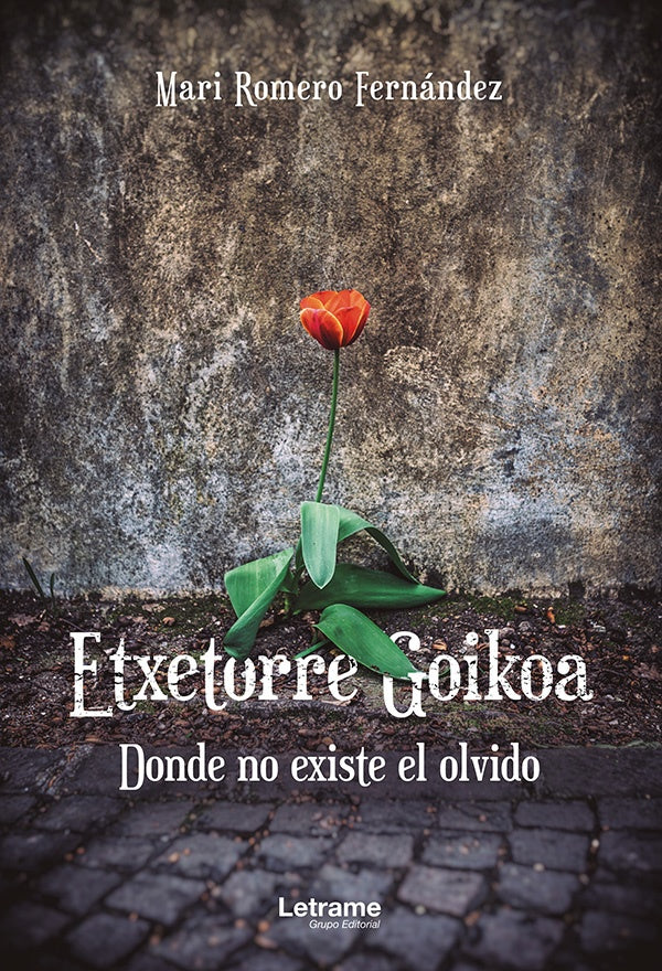 Etxetorre Goikoa. Donde no existe el olvido | Mari Romero Fernández