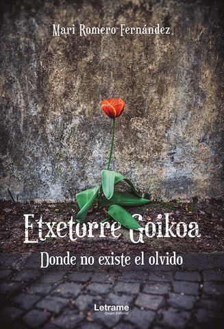 Etxetorre Goikoa. Donde no existe el olvido | Mari Romero Fernández