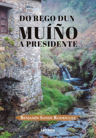 Do rego don muíño a presidente | Benjamin  Sande Rodriguez