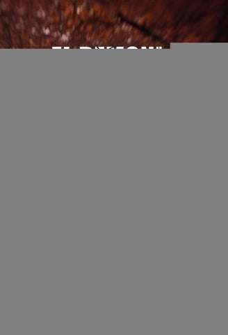 El demonio que me acecha | Torralba, Torralba Arjona