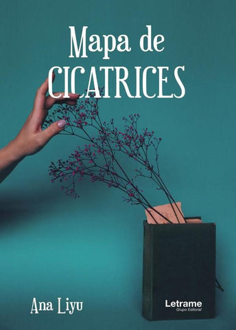 Mapa de cicatrices | Ana Liyu