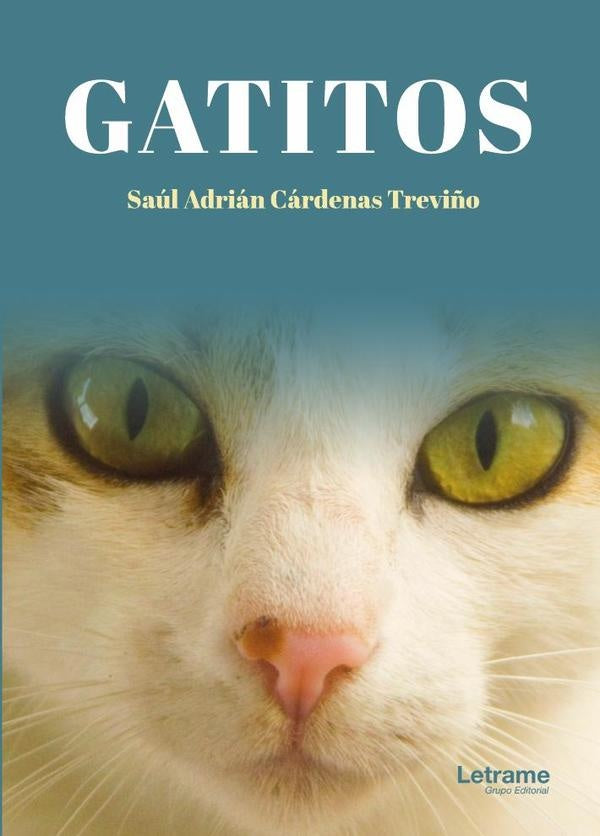 Gatitos | Saúl Adrián Cárdenas Treviño