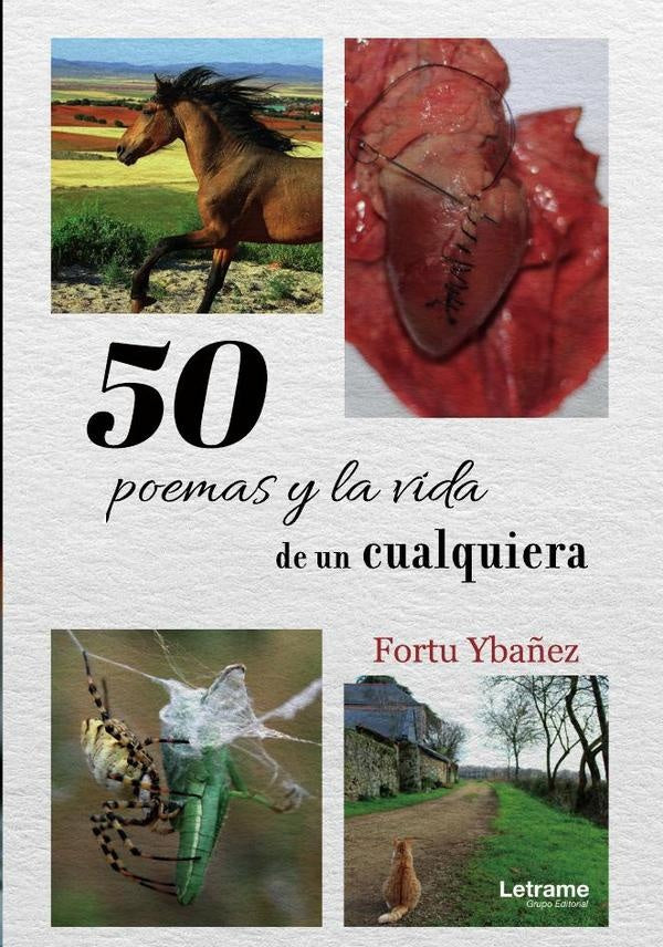 50 Poemas y la vida de un cualquiera | Fortu Ybañez