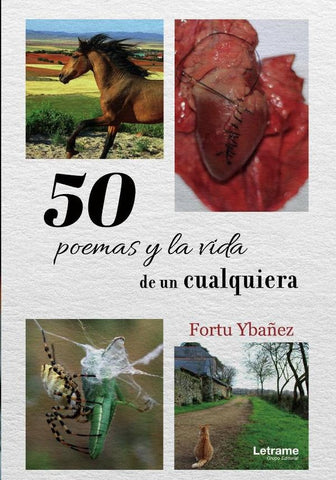 50 Poemas y la vida de un cualquiera | Fortu Ybañez