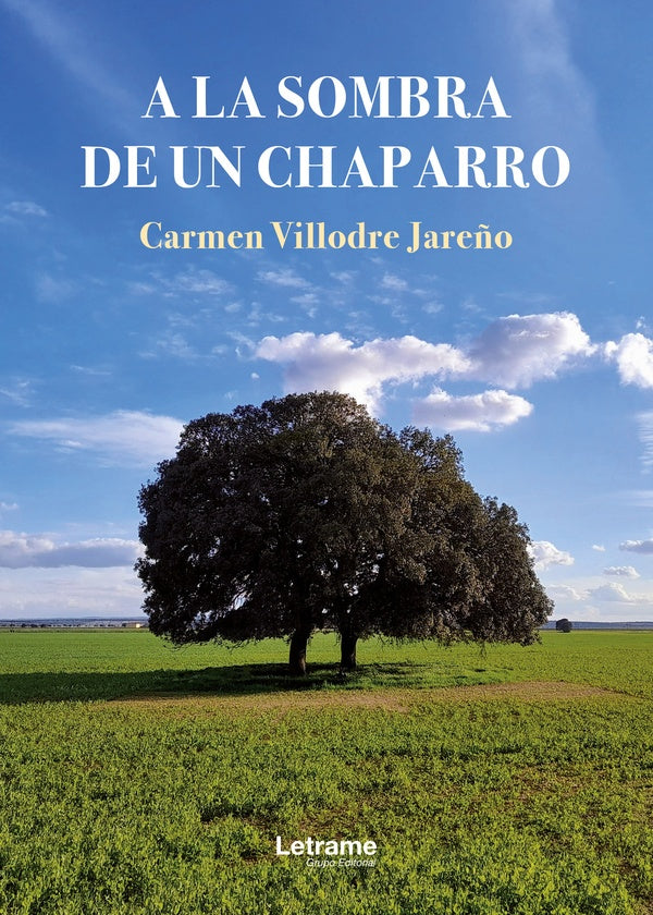A la sombra de un chaparro | Carmen Villodre Jareño