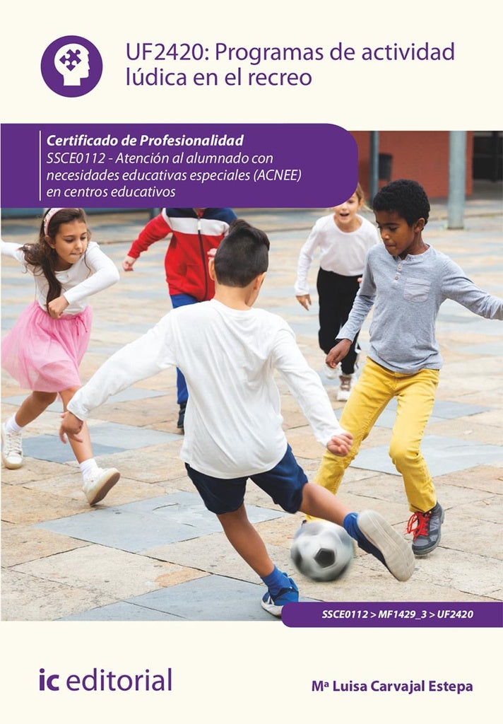 Programas de actividad lúdica en el recreo. SSCE0112 - Atención al alumnado con necesidades educativ | Mª Luisa Carvajal Estepa