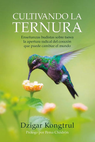 Cultivando la ternura | Dzigar Kongtrul