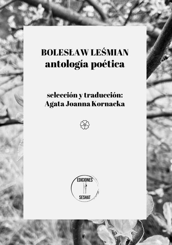 Boleslaw Lesmian | Agata Joanna Kornacka