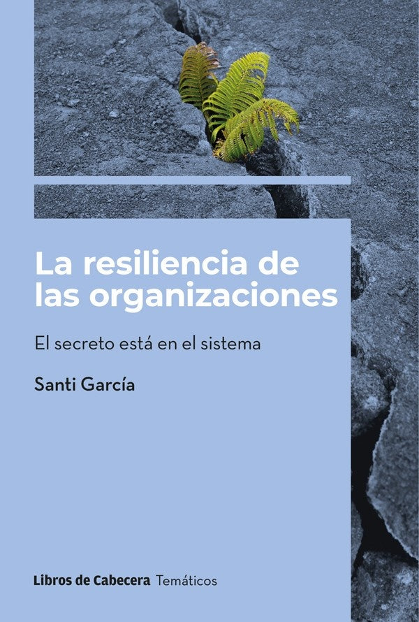 La resiliencia de las organizaciones: El secreto está en el sistema | Santi García
