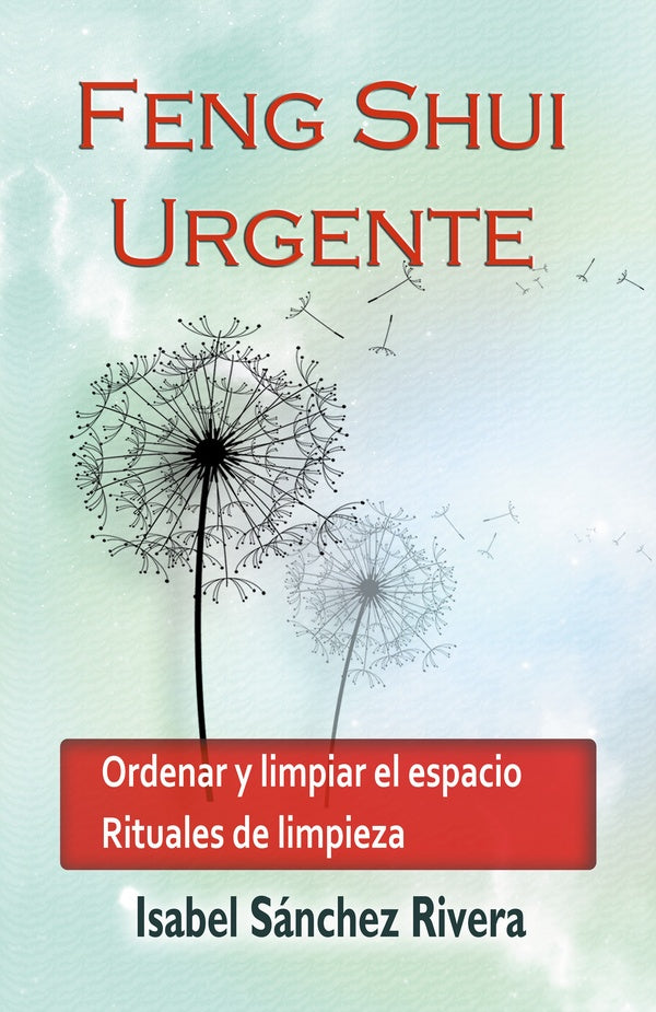 Feng Shui Urgente | Isabel Sánchez Rivera