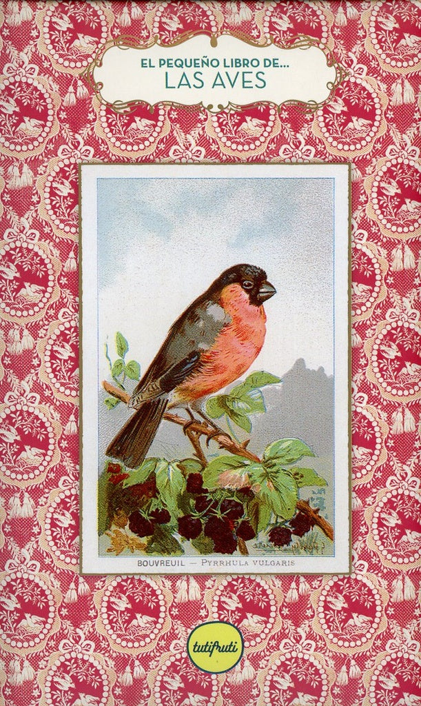 PEQUEÑO LIBRO DE... LAS AVES.. | Anne Jankeliowitch