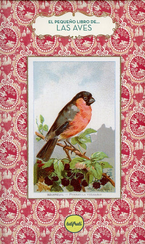 PEQUEÑO LIBRO DE... LAS AVES.. | Anne Jankeliowitch