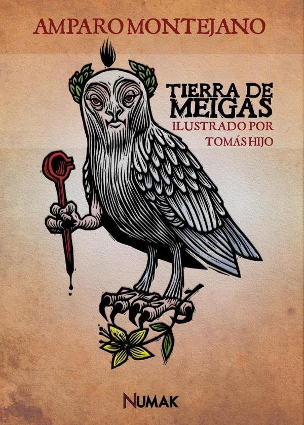 Tierra de meigas  | Amparo Montejano