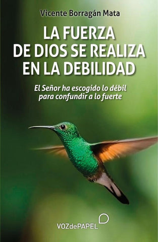 La fuerza de Dios se realiza en la debilidad | Vicente Borragán