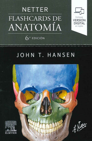 NETTER. FLASHCARDS DE ANATOMÍA (6ª ED.).. | HANSEN