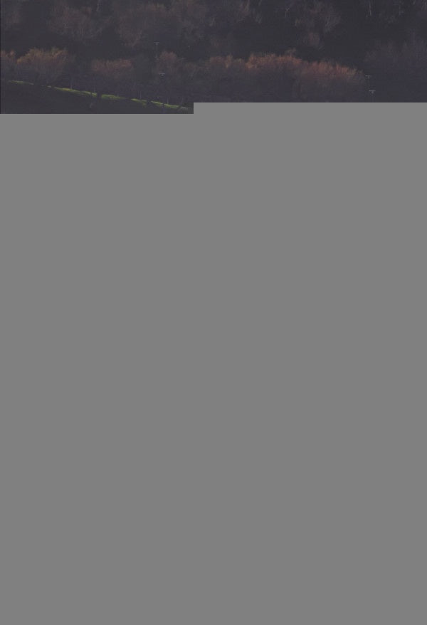 Canción del Machichaco | Enrique García Revilla