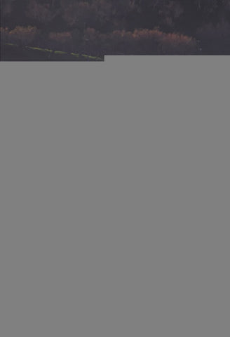 Canción del Machichaco | Enrique García Revilla