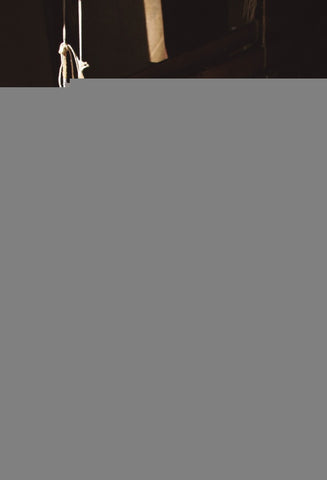 Caminos divergentes | DANIEL BOIXEDA DE MIQUEL