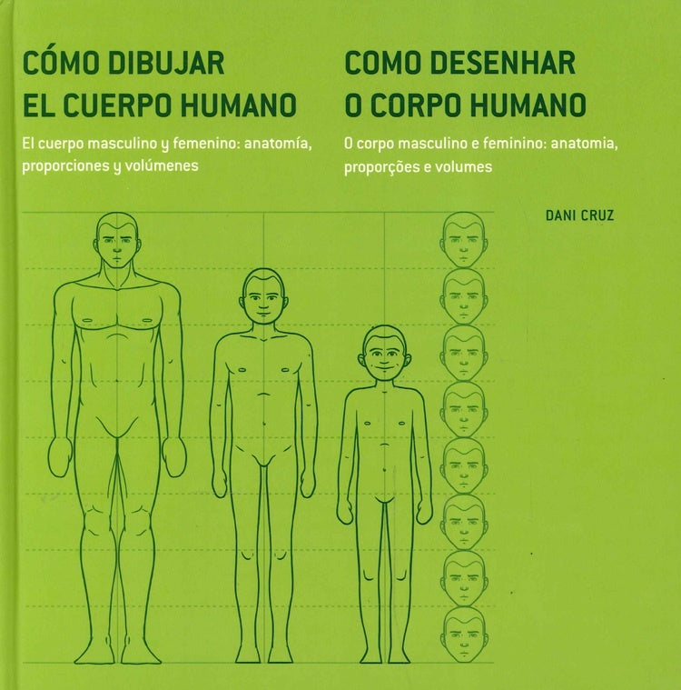 COMO DIBUJAR EL CUERPO HUMANO  |  DANI  Cruz