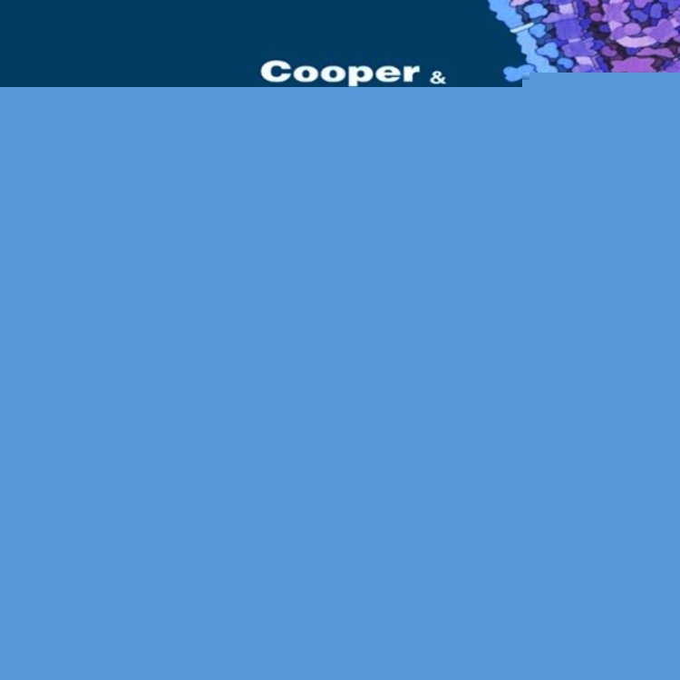 LA CELULA | Cooper