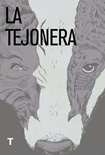 LA TEJONERA (CON DETALLES).. | CYNAN  JONES
