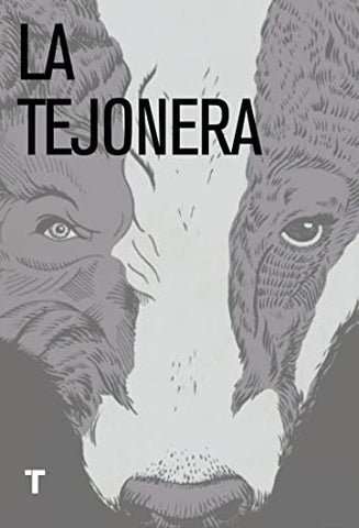LA TEJONERA (CON DETALLES).. | CYNAN  JONES