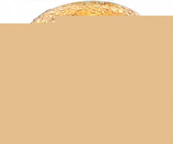 Hamburguesas 50 recetas faciles  | Cinzia  Trenchi