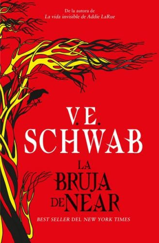 LA BRUJA DE NEAR.. | V.E. SCHWAB