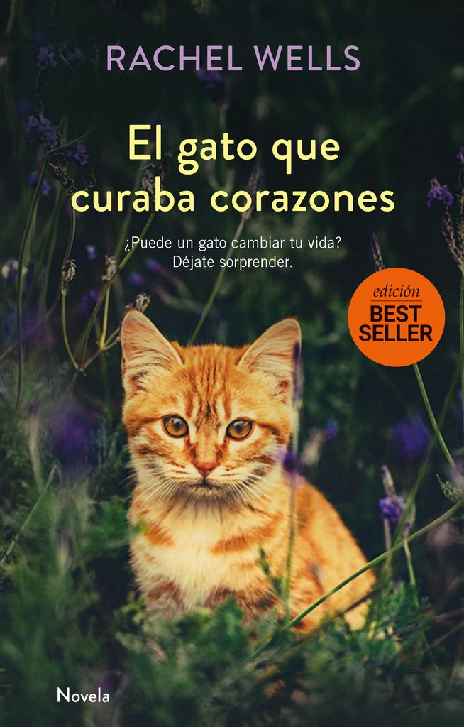 EL GATO QUE CURABA CORAZONES | RACHEL WELLS