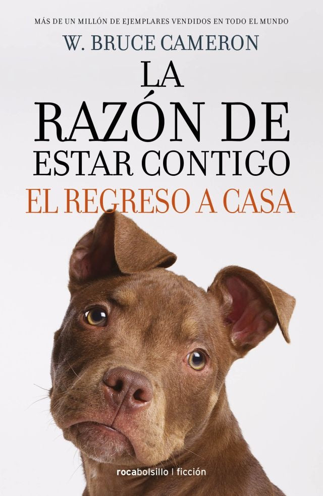 La razón de estar contigo* | W. Bruce Cameron