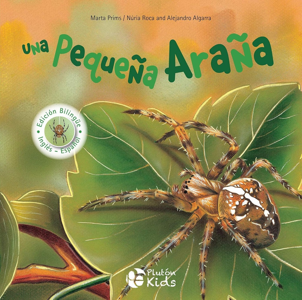 UNA PEQUEÑA ARAÑA | MARTA PRIMS