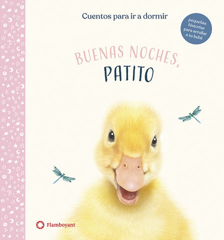 BUENAS NOCHES PATITO | AMANDA WOOD