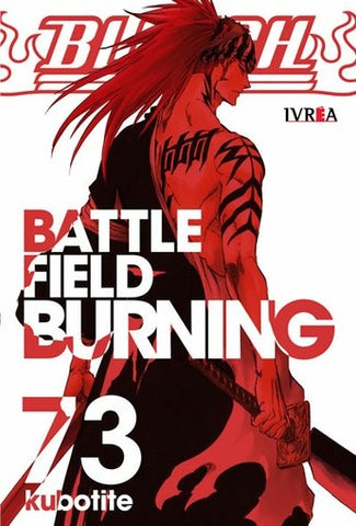 BLEACH 73