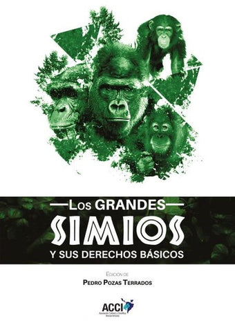 Los grandes simios y sus derechos básicos | Pedro Pozas Terrados