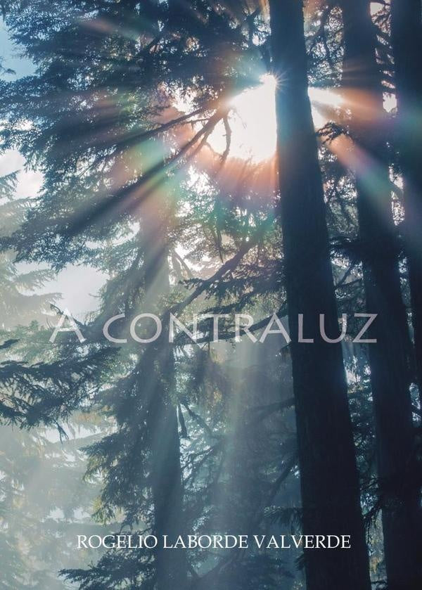 A contraluz | Rogelio  Laborde Valverde