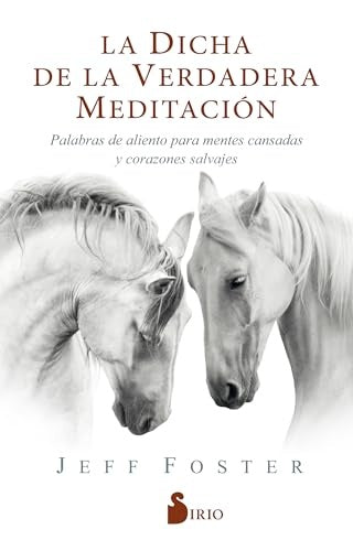 LA DICHA DE LA VERDAERA MEDITACION* | JEFF FOSTER