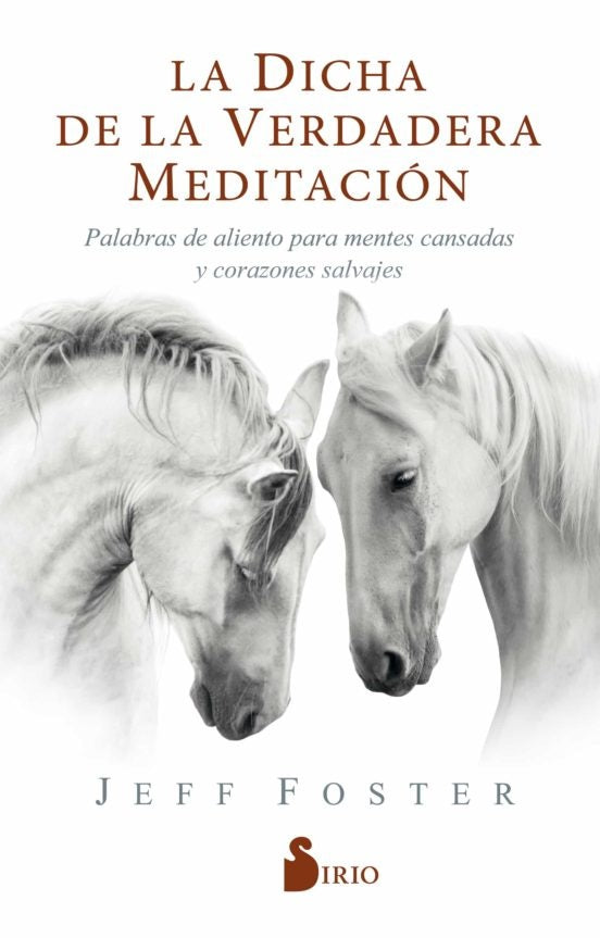 LA DICHA DE LA VERDAERA MEDITACION* | JEFF FOSTER