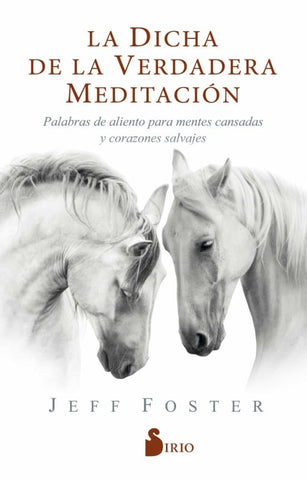 LA DICHA DE LA VERDAERA MEDITACION* | JEFF FOSTER