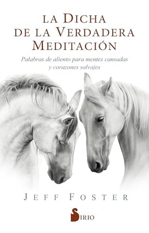 LA DICHA DE LA VERDAERA MEDITACION* | JEFF FOSTER