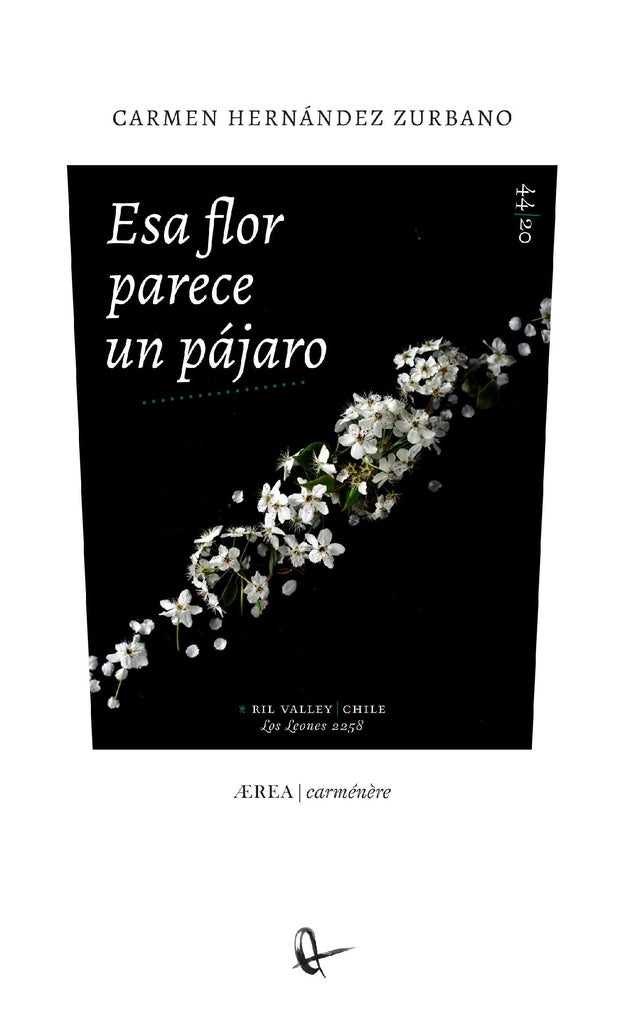 Esa flor parece un pájaro | Carmen Hernández Zurbano