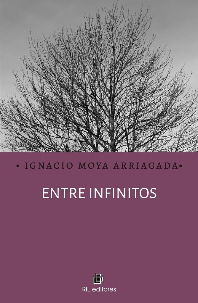 Entre infinitos | Ignacio Moya Arriagada