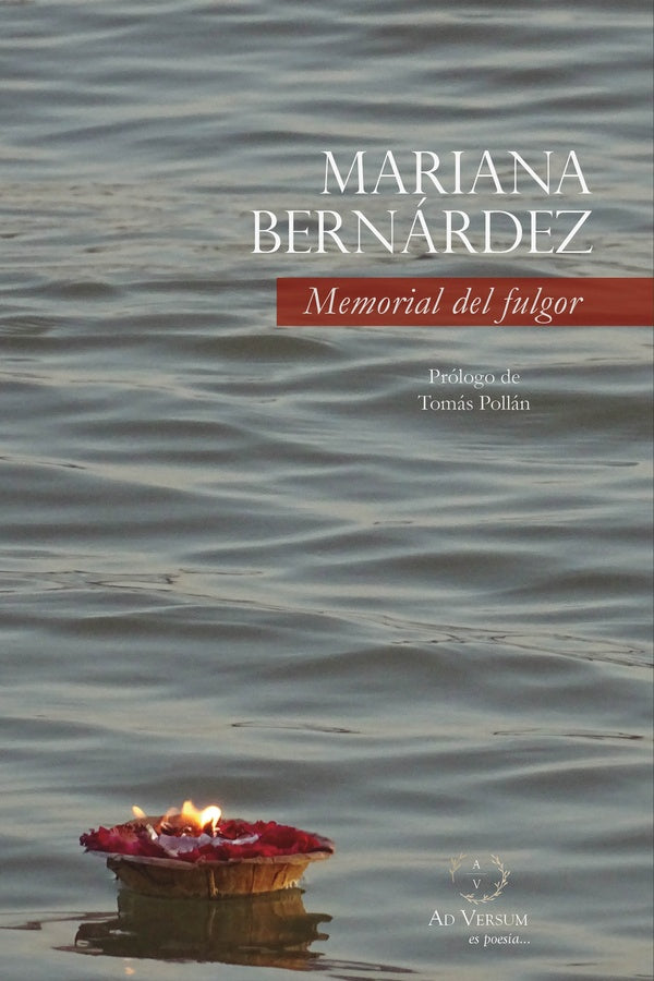 Memorial del fulgor | Mariana  Bernárdez