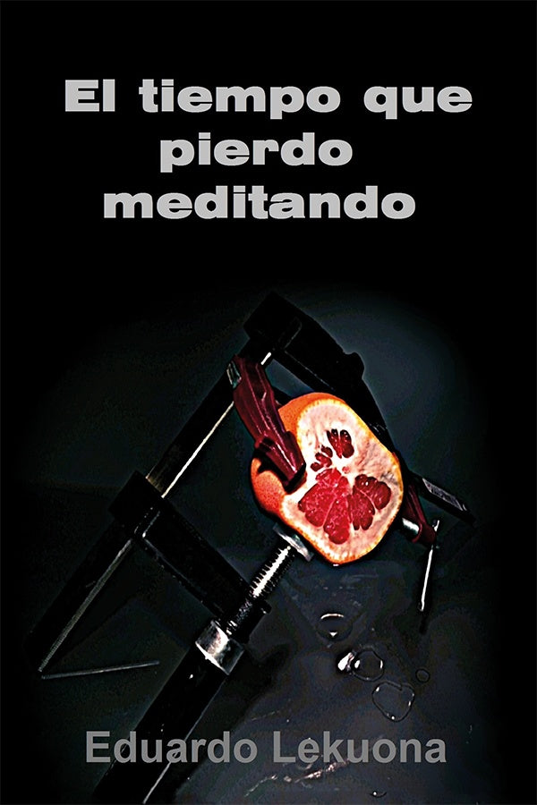 El tiempo que pierdo meditando | Eduardo Lekuona Sanchez