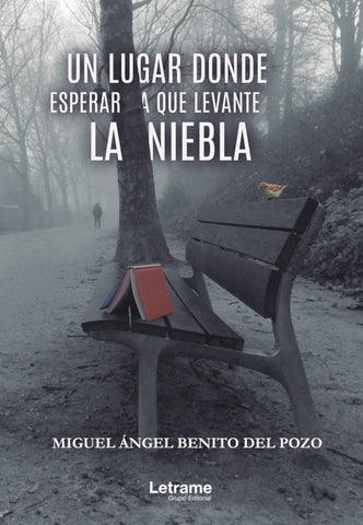 Un lugar donde esperar a que levante la niebla | Miguel Ángel Benito del Pozo