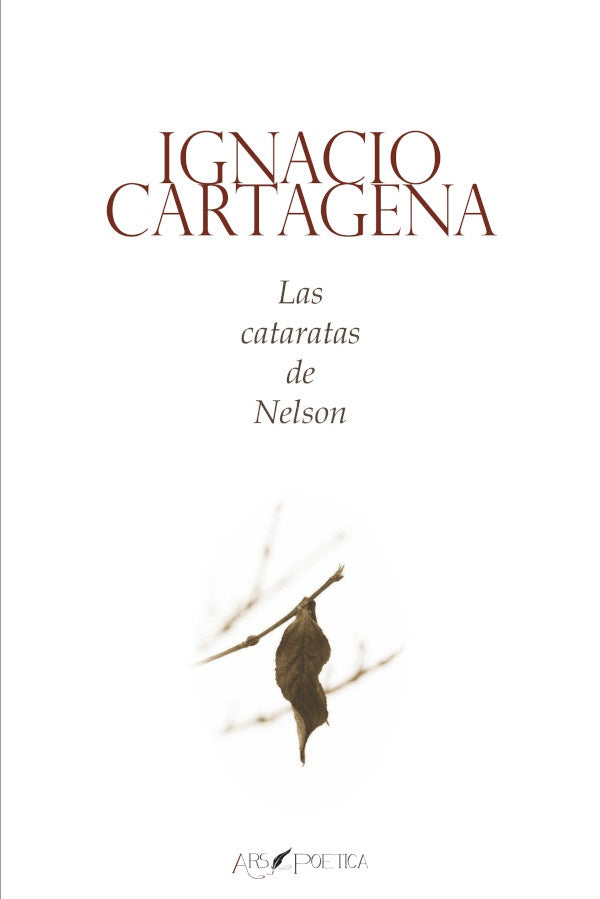 Las cataratas de Nelson | Ignacio Cartagena