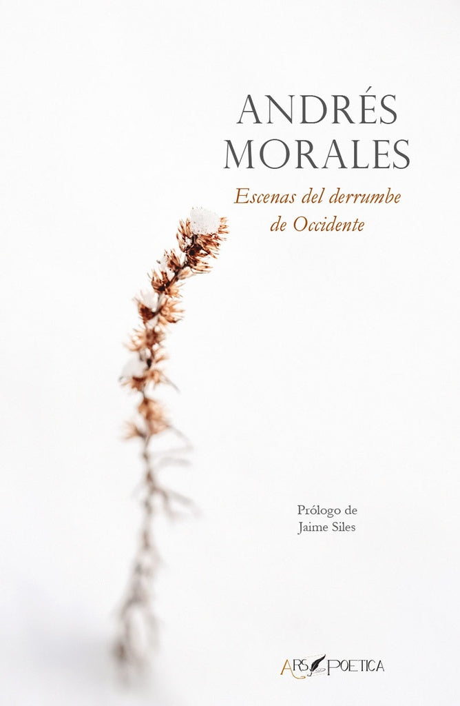 Escenas del derrumbe de Occidente | Morales, Morales