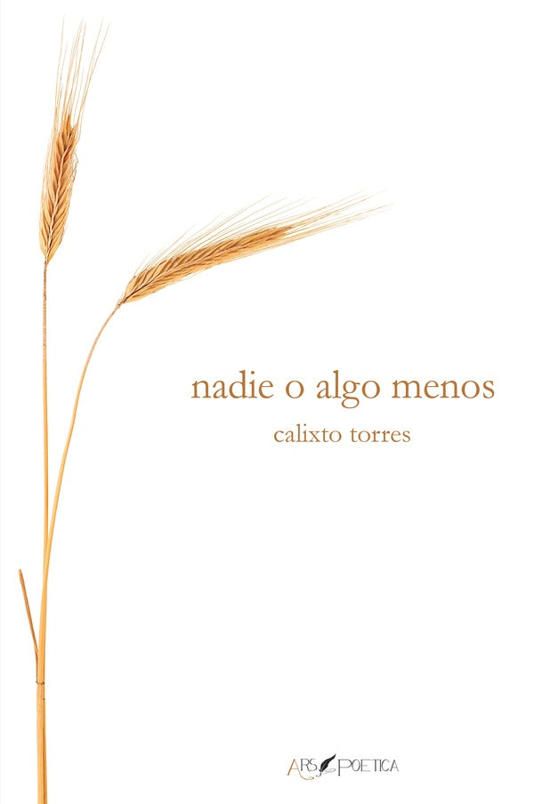 nadie o algo menos | Calixto Torres