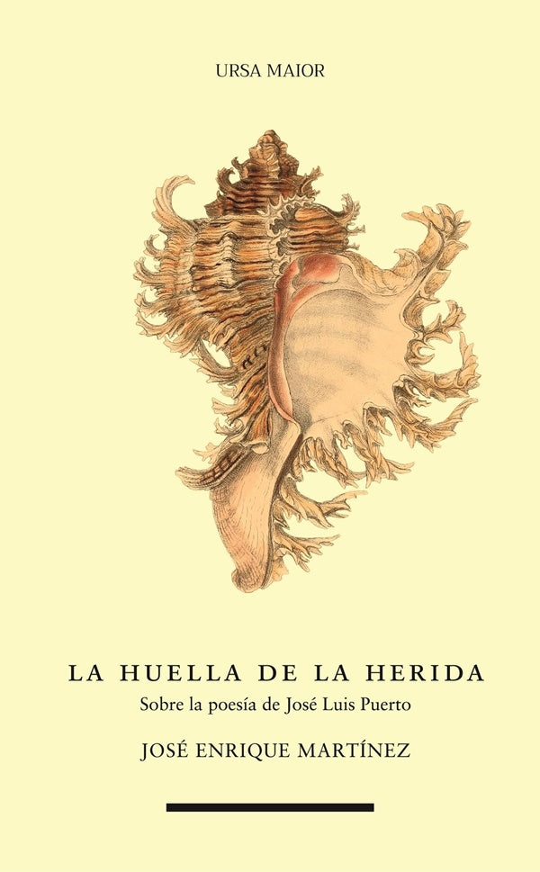 La huella de la herida | JOSÉ ENRIQUE MARTÍNEZ