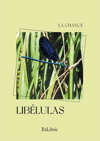 Libélulas | La Chance