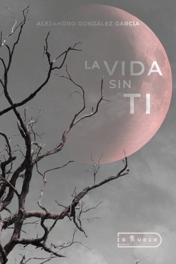 La vida sin ti | Alejandro González García
